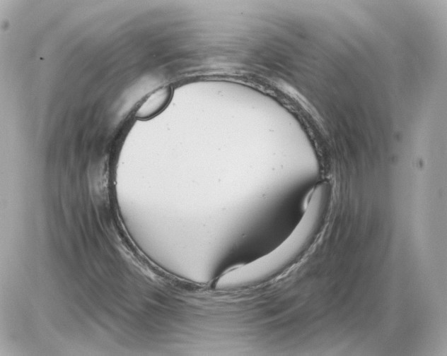 X0000085211450200704091854