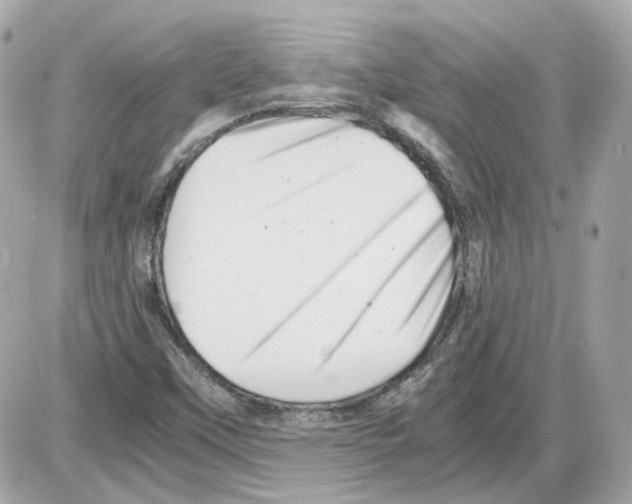 X0000085211451200704091854