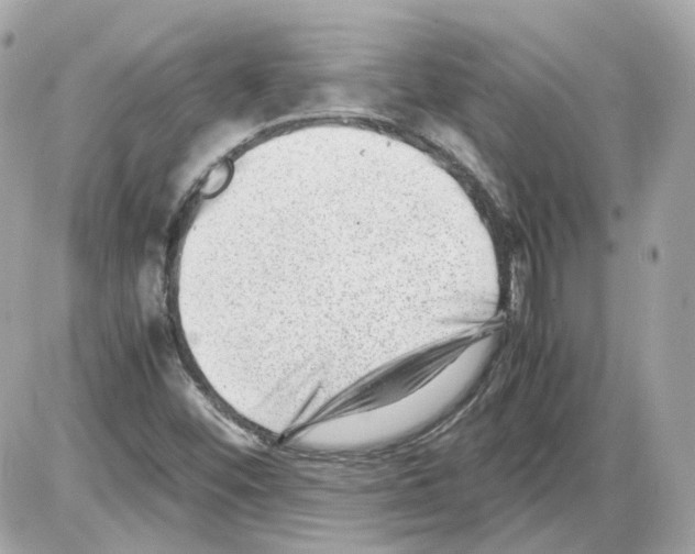 X0000085211452200704091854