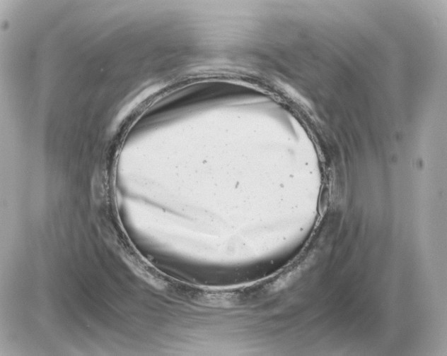 X0000085211453200704091854