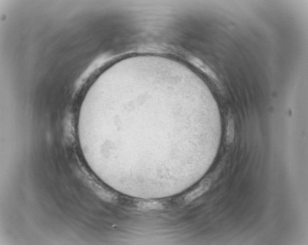 X0000085211454200704091854