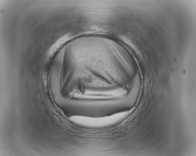 X0000085211455200704091854