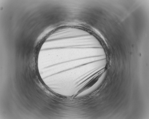 X0000085211456200704091854