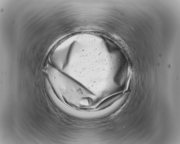 X0000085211457200704091854