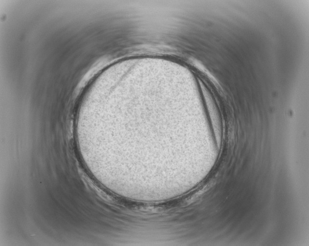 X0000085211459200704091854