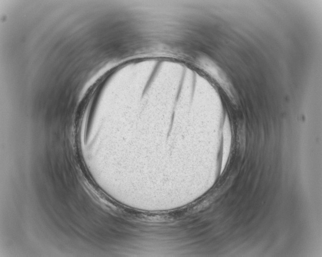 X0000085211460200704091854