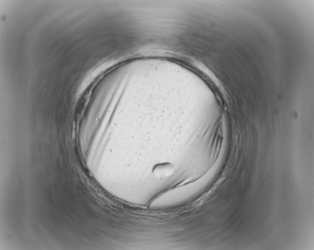 X0000085211461200704091854