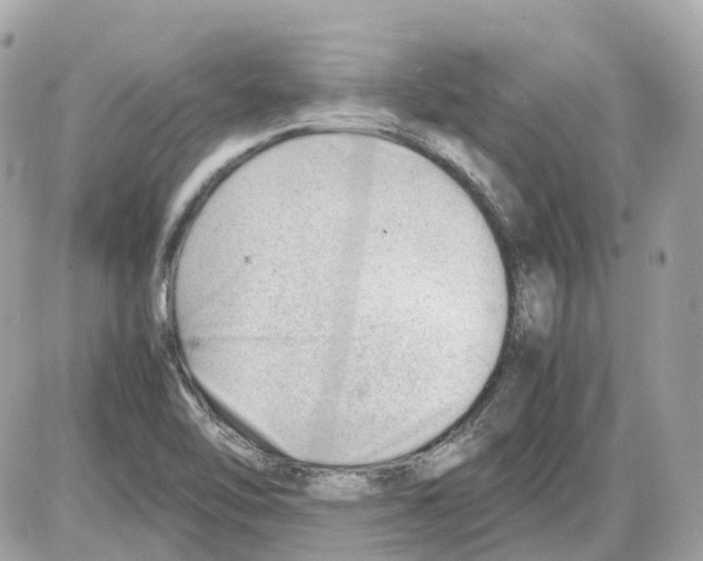 X0000085211462200704091854