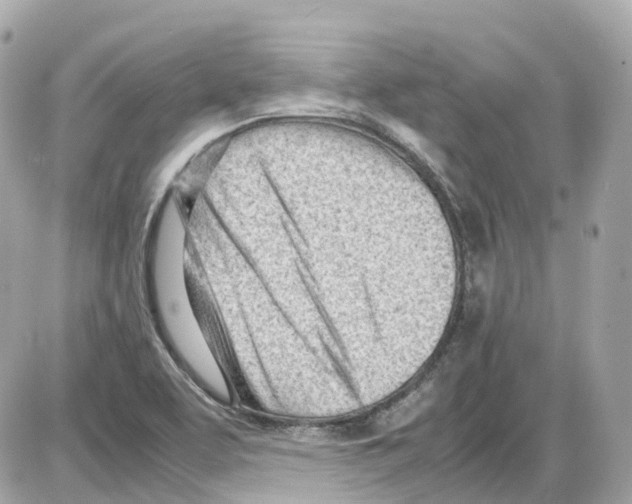 X0000085211463200704091854