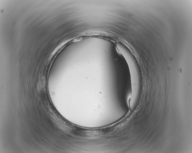 X0000085211465200704091854