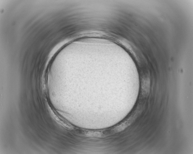 X0000085211466200704091854