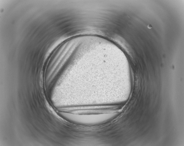 X0000085211468200704091854