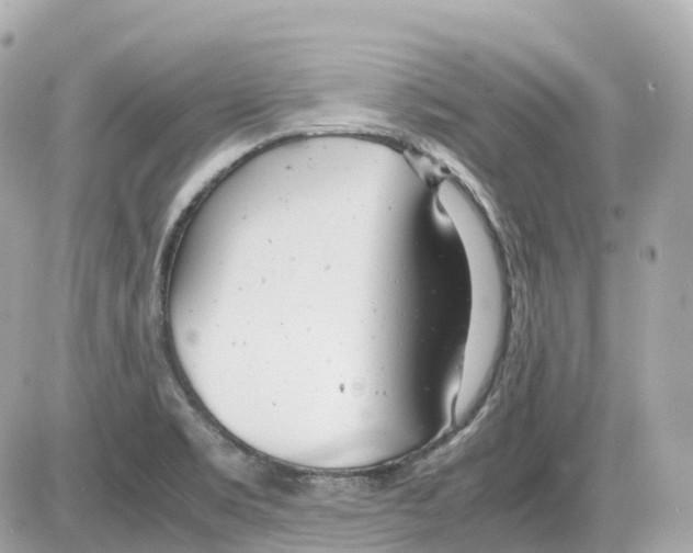 X0000085211469200704091854