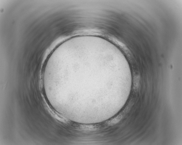 X0000085211470200704091854