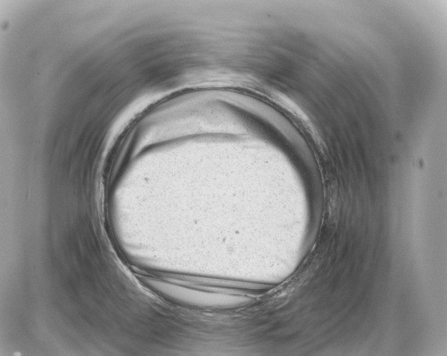 X0000085211472200704091854