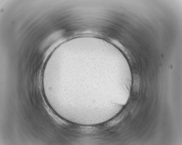 X0000085211474200704091854