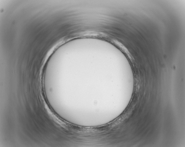 X0000085211475200704091854