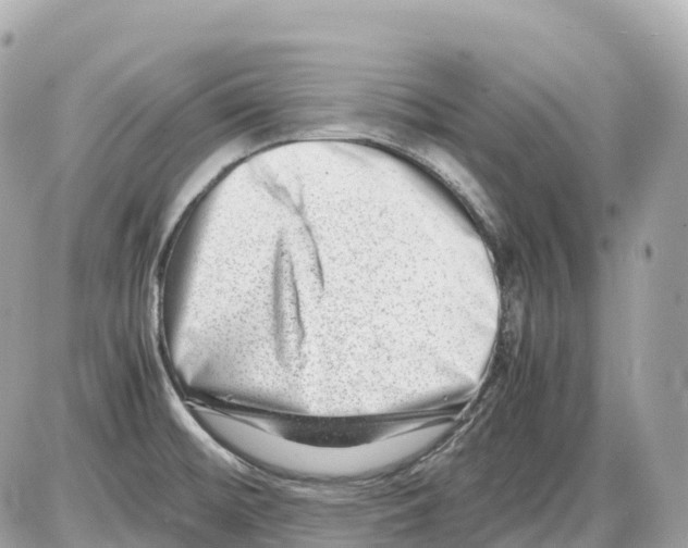 X0000085211476200704091854