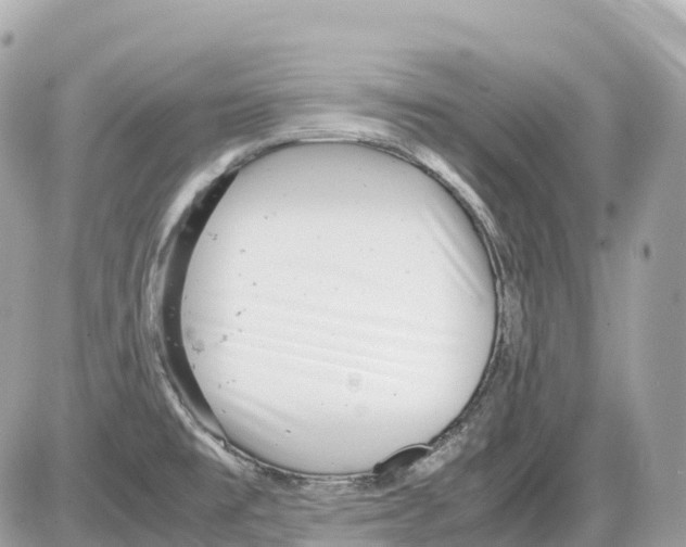 X0000085211477200704091854