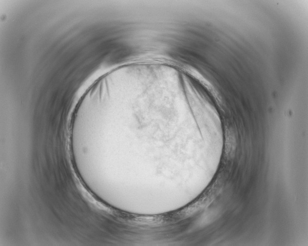 X0000085211478200704091854