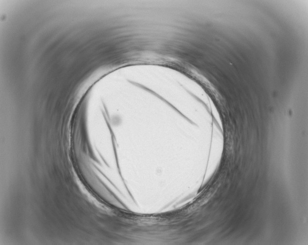 X0000085211479200704091854