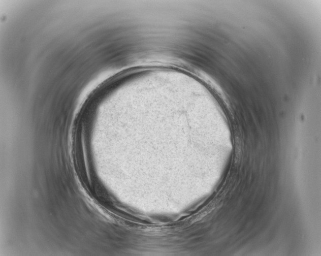 X0000085211480200704091854