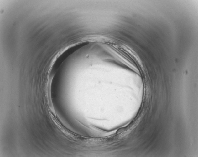 X0000085211481200704091853