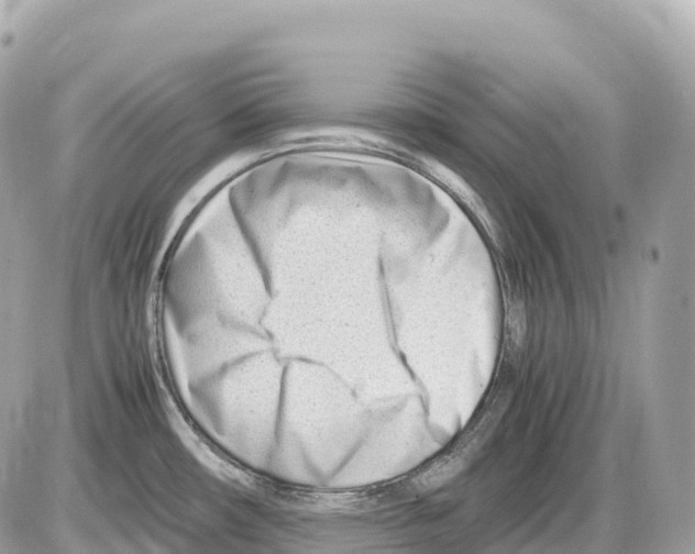 X0000085211482200704091853