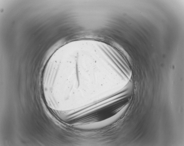 X0000085211483200704091853