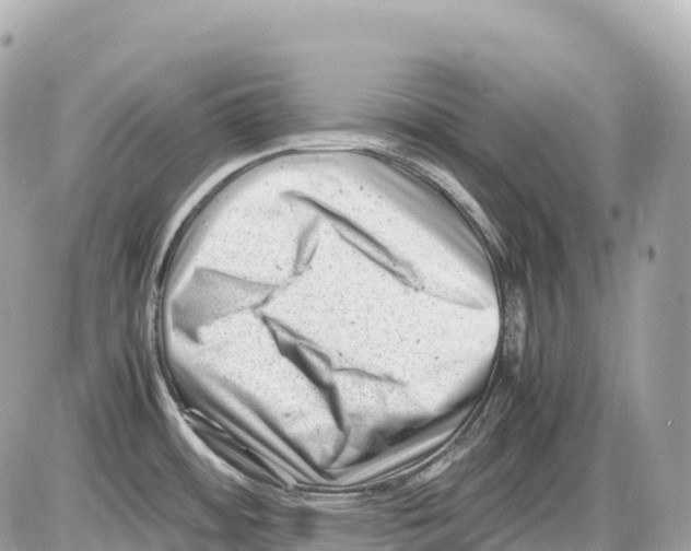 X0000085211484200704091853