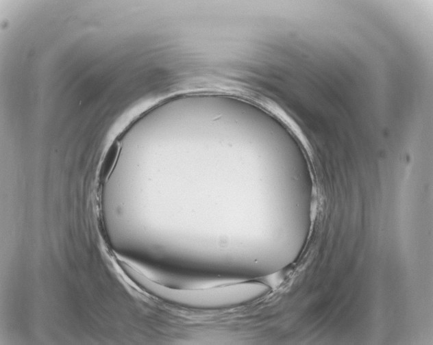 X0000085211485200704091853