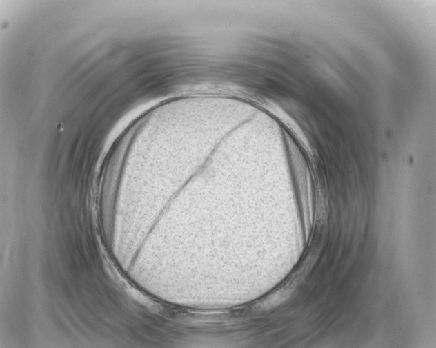 X0000085211486200704091853