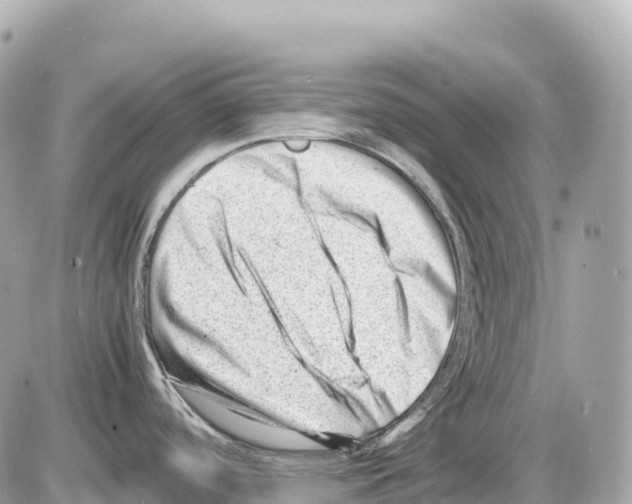 X0000085211488200704091853