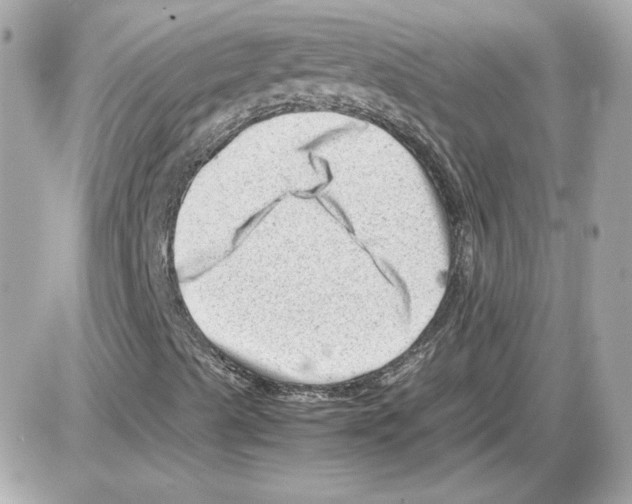 X0000085211489200704091853