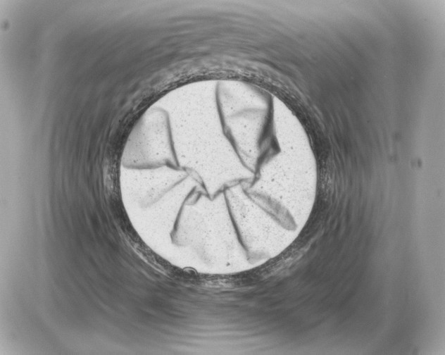 X0000085211490200704091853