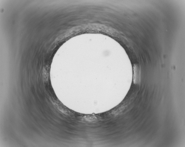 X0000085211491200704091853