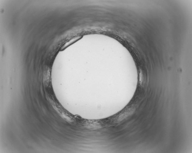 X0000085211492200704091853