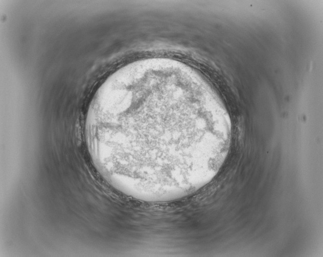 X0000085211493200704091853