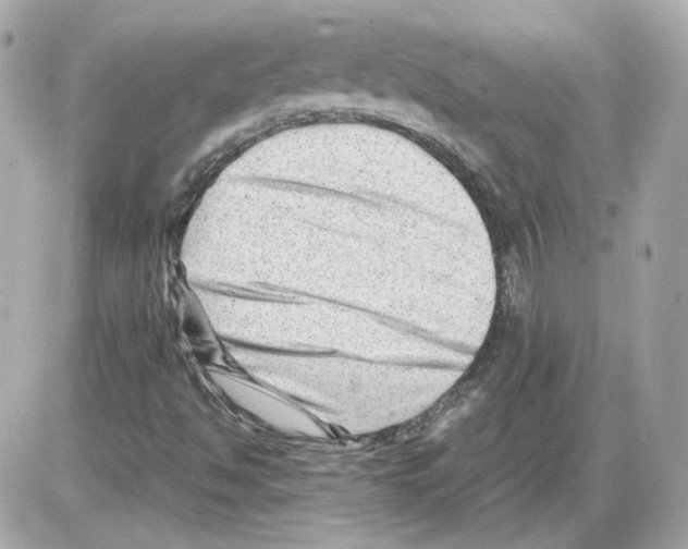 X0000085211494200704091853