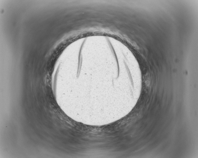 X0000085211495200704091853