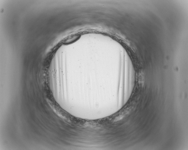 X0000085211496200704091853