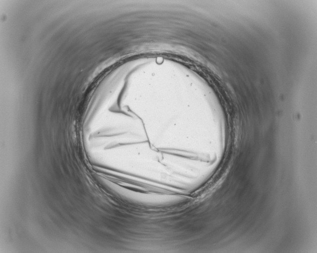 X0000085211497200704091853