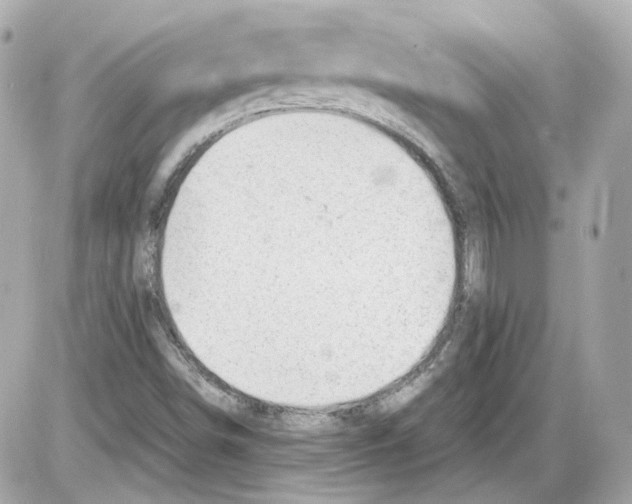 X0000085211498200704091853