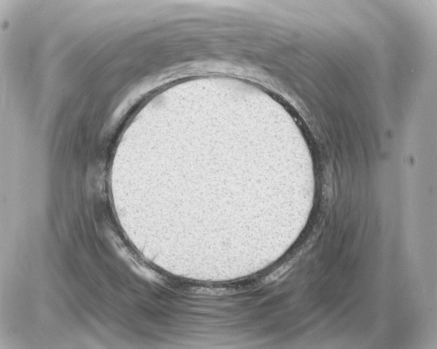 X0000085211499200704091853