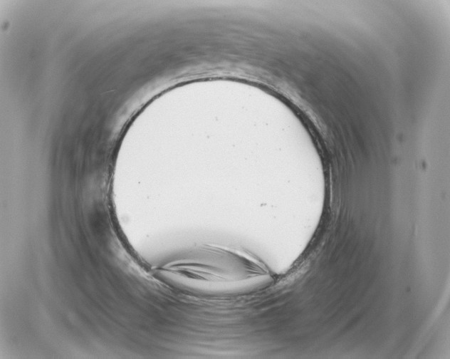 X0000085211500200704091853