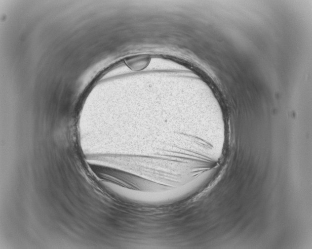 X0000085211501200704091853