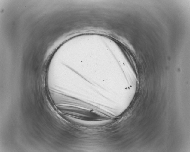 X0000085211504200704091853