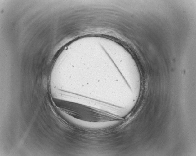 X0000085211505200704091853