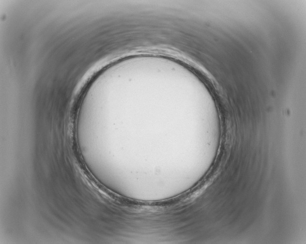 X0000085211506200704091853