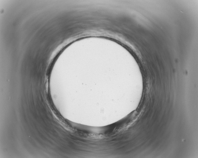 X0000085211509200704091853